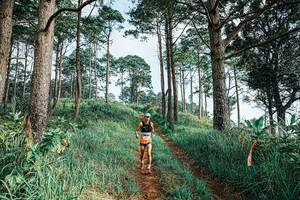 BIB: 
                            <button type="button" onclick="openModal(25652847)" class="btn btn-primary btn-sm float-right btn-popup" data-toggle="modal" data-target=".modal-high-quality">
                        <i class="fas fa-shopping-cart"></i> Add to Cart
                    </button>
                                            <button type="button" onclick="isThisMe(25652847, true)" class="btn btn-success btn-sm float-right btn-popup btn-isme hidden" data-toggle="tooltip" data-placement="bottom" title="นี่คือรูปของคุณใช่ไหม คลิกที่นี่เพื่อเอาเข้าอัลบั้ม">
                        <i class="fas fa-plus"></i> Add to album
                    </button>
                    <button type="button" onclick="isThisMe(25652847, false)" class="btn btn-warning btn-sm float-right btn-popup btn-isnotme hidden">
                        <i class="fas fa-ban"></i> Remove from album
                    </button>